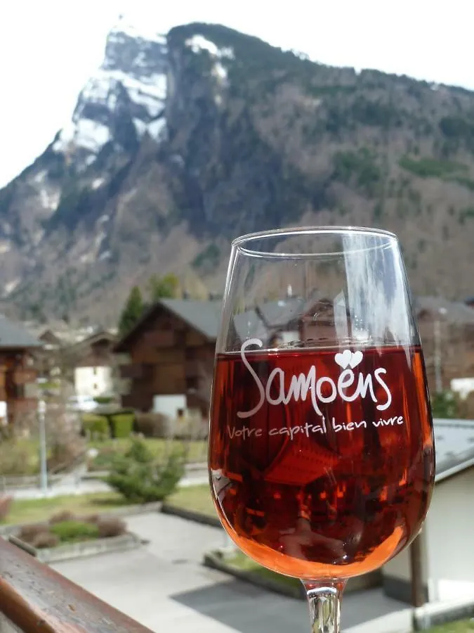 公寓 Samoens Studio